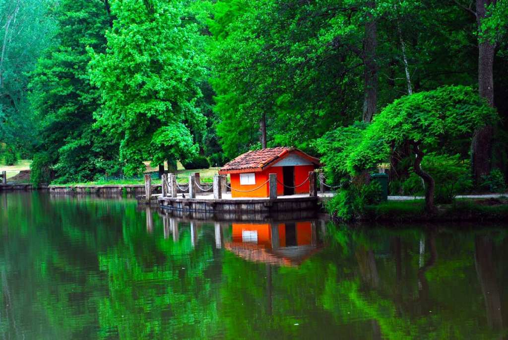 İstanbul’un Keşfedilmemiş Cenneti: Atatürk Arboretumu