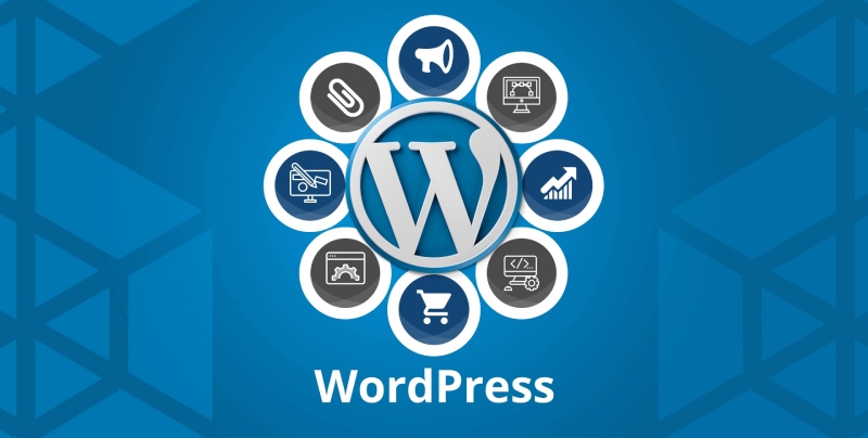 ozan-superapp-wordpress-nedir