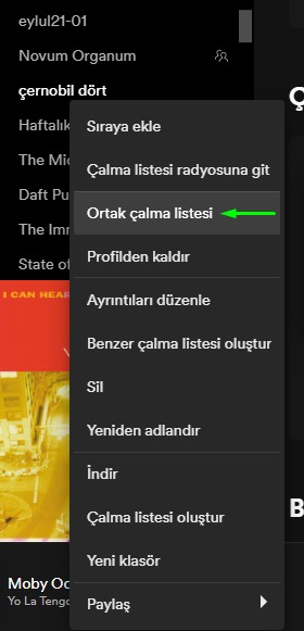 spotify-ortak-calma-listesi